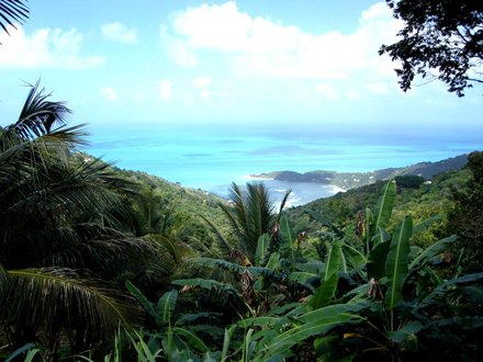 Britské Panenské Ostrovy, Tortola