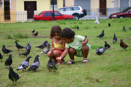 Dominikánská republika, Dominikánské děti