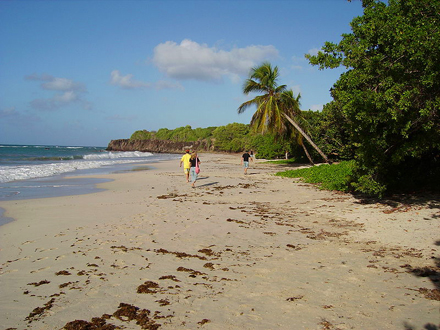 Martinik, Pláž Les Salines