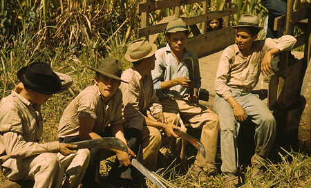 Portoriko, pole s cukrovou třtinou, odpočívající dělníci